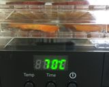 A picture of step 4 of Safe Vegetable Chips / Food Dehydrator.