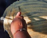 A picture of step 3 of Khandvani rolls.