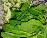 A picture of step 6 of Reggia Pasta With Broccoli And Spinach 🥦🥬😋.