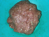 Bola-bola daging tanpa telur/tepung