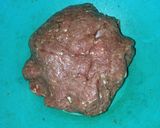 Foto langkah ke 2 dari resep Bola-bola daging tanpa telur/tepung.
