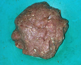 Foto langkah ke 2 dari resep Bola-bola daging tanpa telur/tepung.