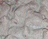 A picture of step 2 of Afghani Malai Boti Karahi.