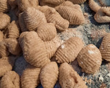 Foto del paso 5 de la receta: Ñoquis de harina integral
