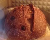 Foto langkah ke 21 dari resep Orange Peel Double Choco Sourdough Bread 74% (Open Bake Method).