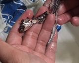 Foto del paso 2 de la receta Boquerones en vinagre