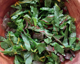 Foto del paso 1 de la receta: Ensalada de acelgas con pera y nueces