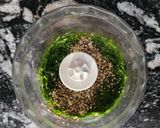 Foto del paso 3 de la receta: Salsa pesto de hierbas!!