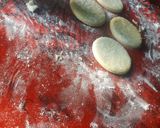 Foto del paso 4 de la receta: Alfajores de maizena súper fácil