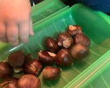 Foto del paso 1 de la receta: Castañas asadas en el microondas