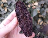 Foto del paso 4 de la receta: Galletitas de chocolate