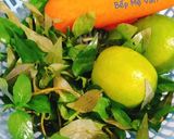 Hình bước làm 2 của món Gỏi đu đủ tôm thịt