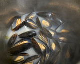 Foto del paso 2 de la receta: Paella valenciana
