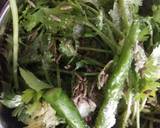 Tangi Coriander chutney recipe step 2 photo
