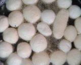 রসোগোল্লা(rasagulla recipe in bengali) রেসিপি ধাপ - 3 ছবি