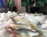 Foto del paso 9 de la receta: Pescados constantin al disco al estilo Sonorense