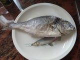 Dorada a la sal