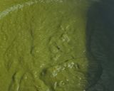 A picture of step 3 of Delicious Sarson ka saag.