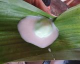 A picture of step 5 of Bugis Mandi (steam gluten rice cake).