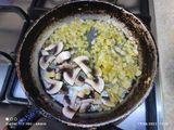 دلمه شکم پر گیاهی