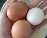 Foto del paso 1 de la receta: Magdalenas al cacao