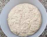 Foto del paso 6 de la receta: Pan súper tierno de manteca con avena, miel y salvado
