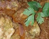 A picture of step 14 of Mint chicken.