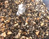 Hình bước làm 2 của món Muối vừng rong biển - gia vị rắc cơm kiểu Nhật