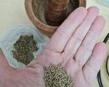 Foto del paso 1 de la receta: Galletitas dulces de anís sobre receta básica