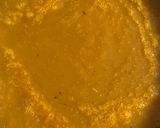 A picture of step 1 of Ravioli with Pumpkin Pasta and Ricotta Filling in Porcini Mushroom Béchamel.