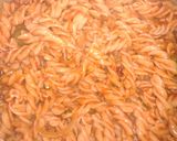 Foto del paso 6 de la receta: Pasta a la puttanesca 😋😋❤️❤️👌🏻👌🏻