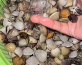 Gambar langkah 1 resipi Kepah Rebus.