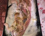 Foto del paso 1 de la receta: Lechón al horno especiado