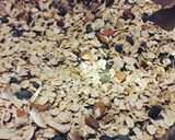 Foto del passaggio 1 della ricetta Granola leggera.. senza grassi e zuccheri aggiunti 😍😍😍😍😍