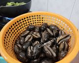 Hình bước làm 1 của món Ốc Trinh Nữ Luộc