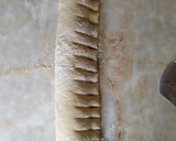 Foto del paso 5 de la receta: Rosca rellena