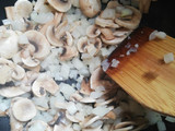 Salsa Italiana con Pollo