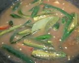 Foto langkah ke 2 dari resep Ace Cabe Hijau (tanpa santan).