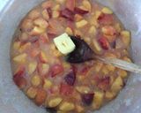 A picture of step 3 of Nectarine jam.