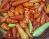 Foto langkah ke 1 dari resep 🌶 Bon Cabe ala Digan 🌶.