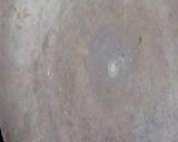 A picture of step 1 of Ilaqai ka kaleji paratha.