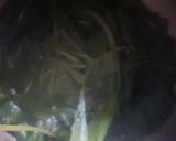 A picture of step 2 of Palak paneer.
