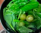 पालक आंवला सेब का जूस रेसिपी चरण 1 फोटो