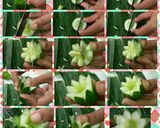 Foto langkah ke 7 dari resep Step by step membuat hiasan tumpeng.
