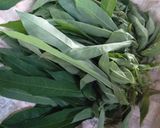 Foto langkah ke 2 dari resep Gulai Pangek Daun Kacang khas Minang.