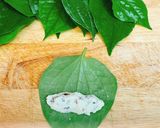 Hình bước làm 3 của món Chả Lá Lốt