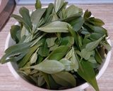 Foto langkah ke 2 dari resep Cah daun ginseng jawa (menu busui #13).
