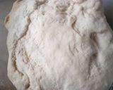 A picture of step 2 of Naan bread.