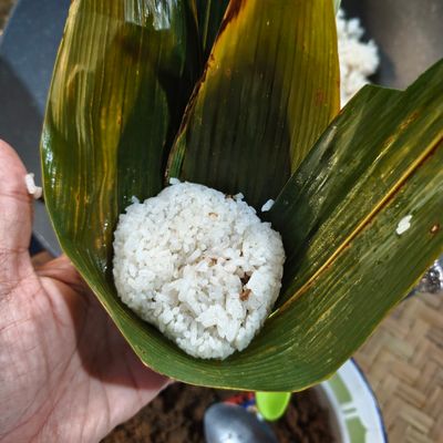 Langkah 5