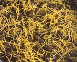 Foto langkah ke 4 dari resep Brownies choco chips cheese🧀.